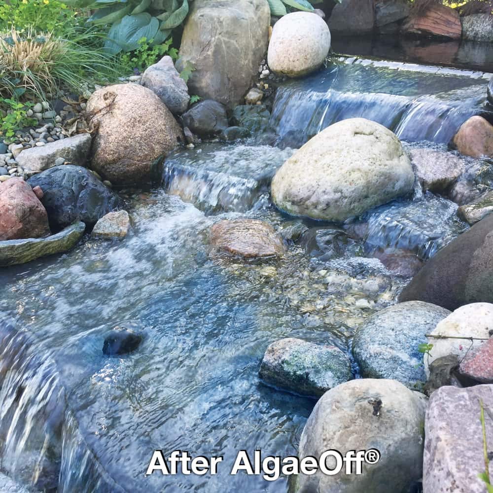 CrystalClear AlgaeOff - String Algae Remover - 2.5 pounds treats up to 1,000 Square Feet