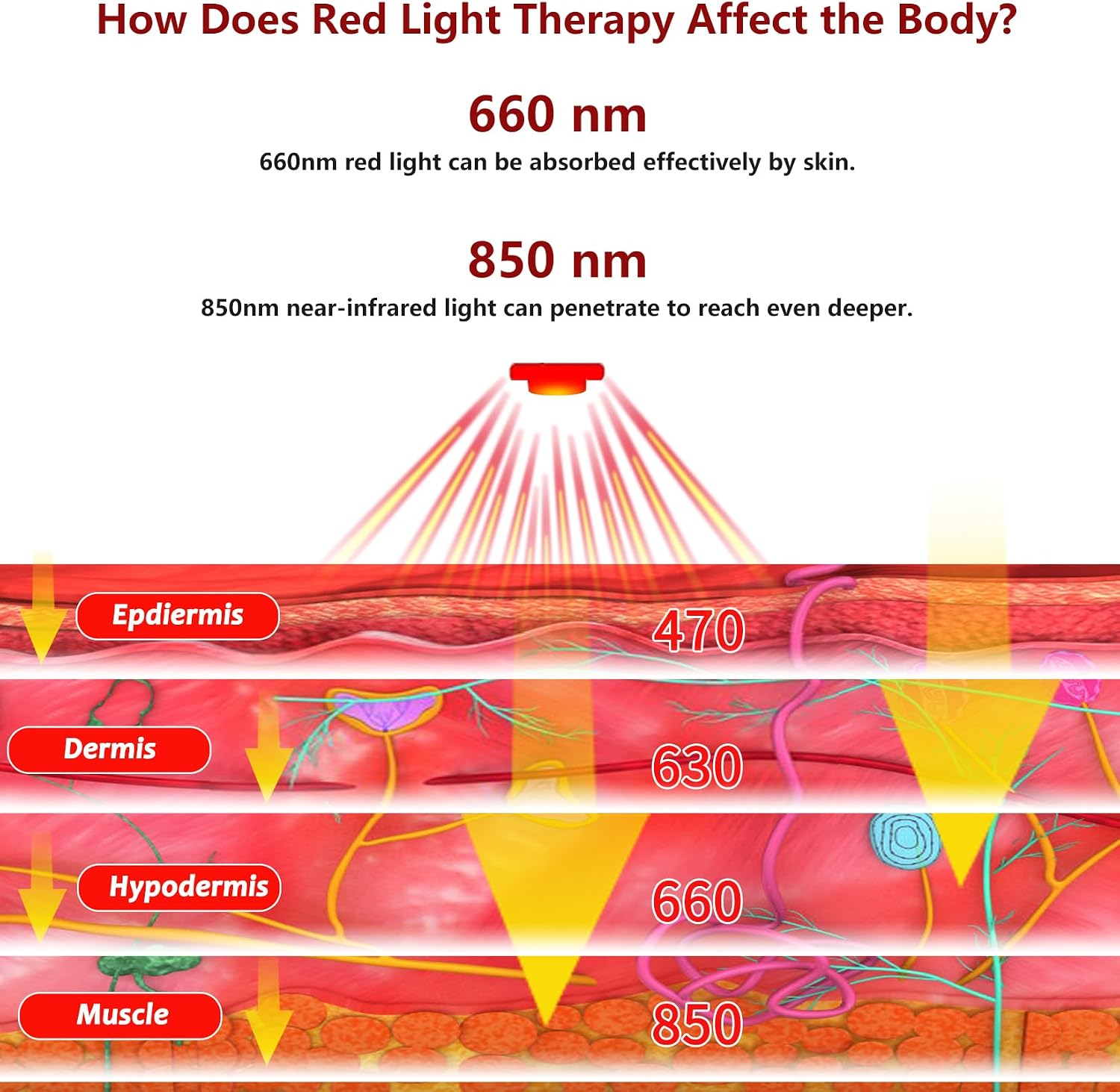 DGXINJUN Red Light Therapy Device for Body Calf Arm Pain Relief Near Infrared Light Therapy 850nm LED Muscle Wrap for Leg Home Use Nerve Damage Deep