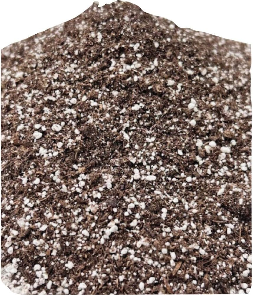 Black Gold Seedling Soil - Starter Soil for Planting Seeds - 16 Qt. - Modern