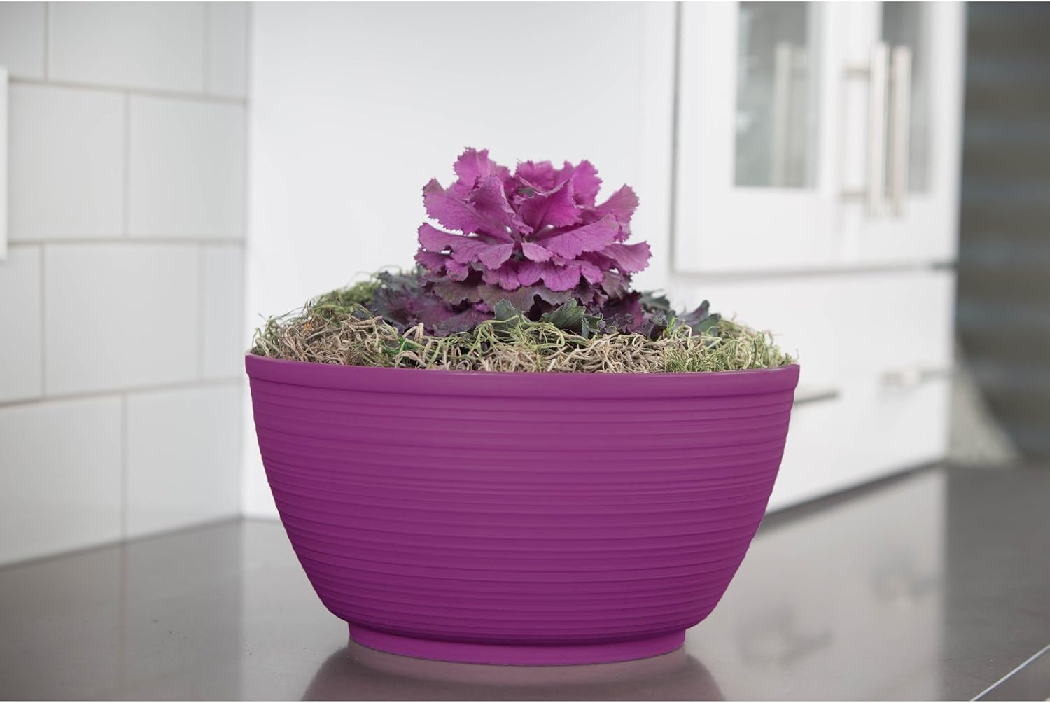 Bloem Willow 12" Plastic Plant Bowl, Deep Round Garden Pot, Peppercorn | Sealed plant bowl with knockout drainage, perfect for displaying herbs and succulents on indoor and outdoor surfaces.