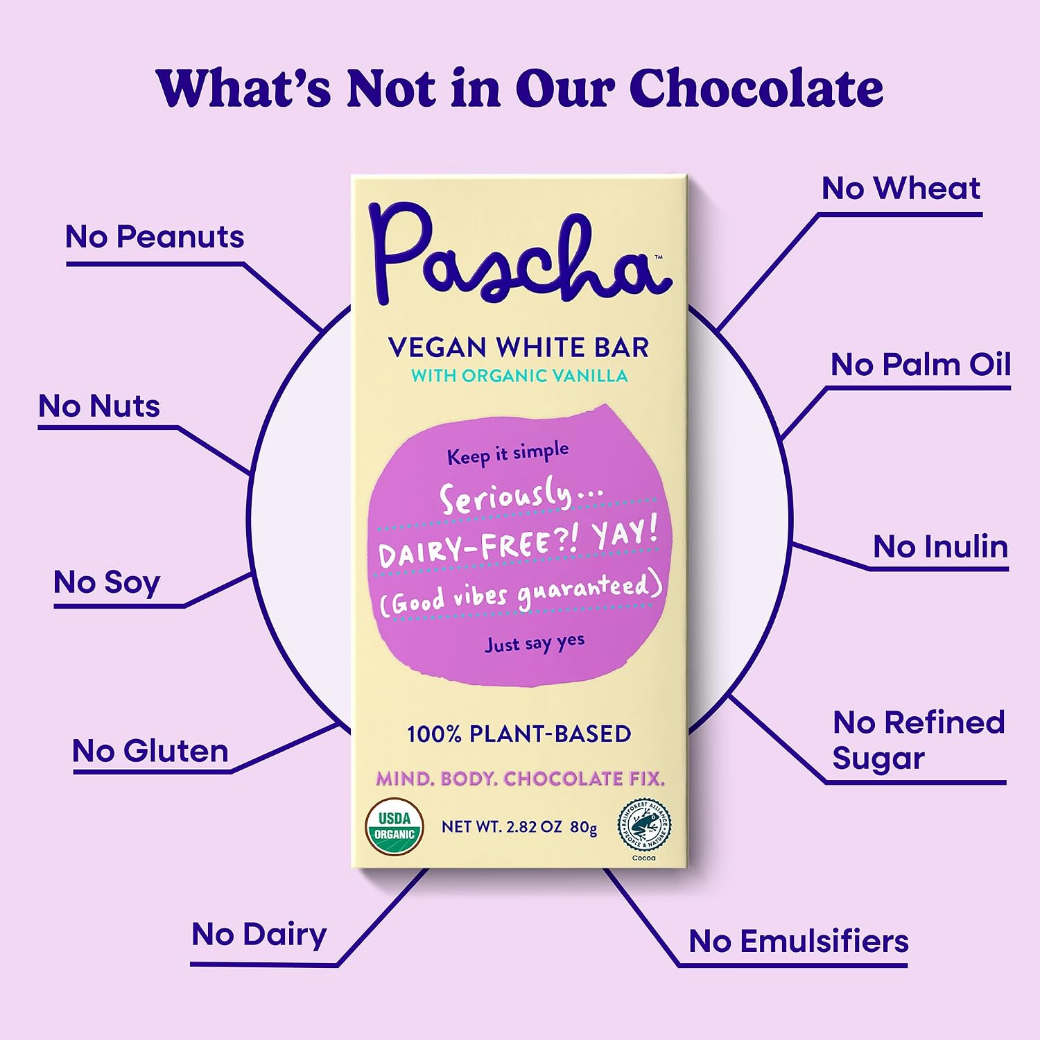 Pascha 85% Cacao Dark Chocolate Bars - Organic, Vegan, 10 Count | Pascha 85% Organic Vegan Dairy Free Dark Chocolate Bars, 10 Count