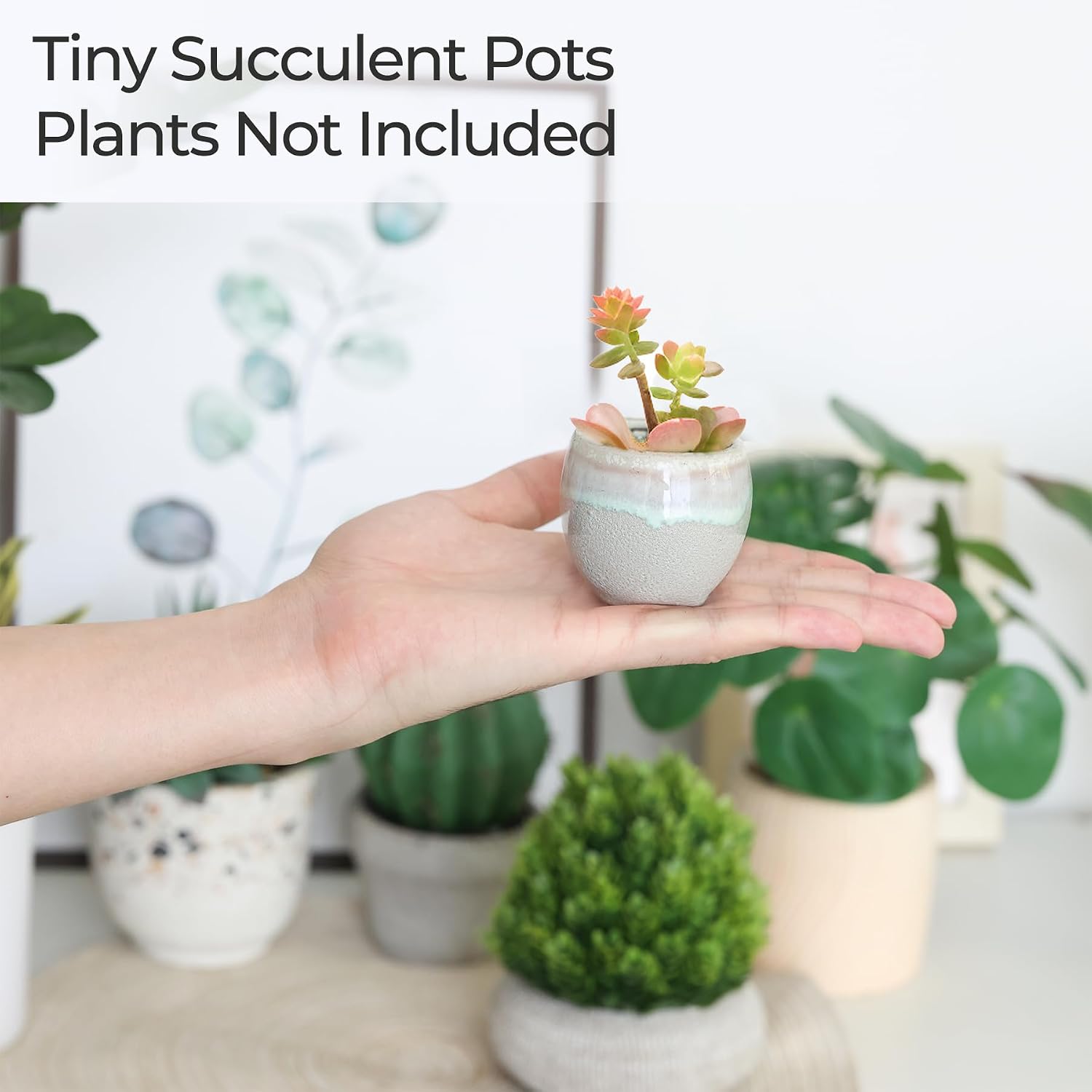 T4U Mini Succulent Ceramic Pots for Gifts, Small Planters for Decor 6 Pack | Planters with Drainage, for live cactus plants, bonsai tree starter pots, indoor windowsill decor, office desk accents