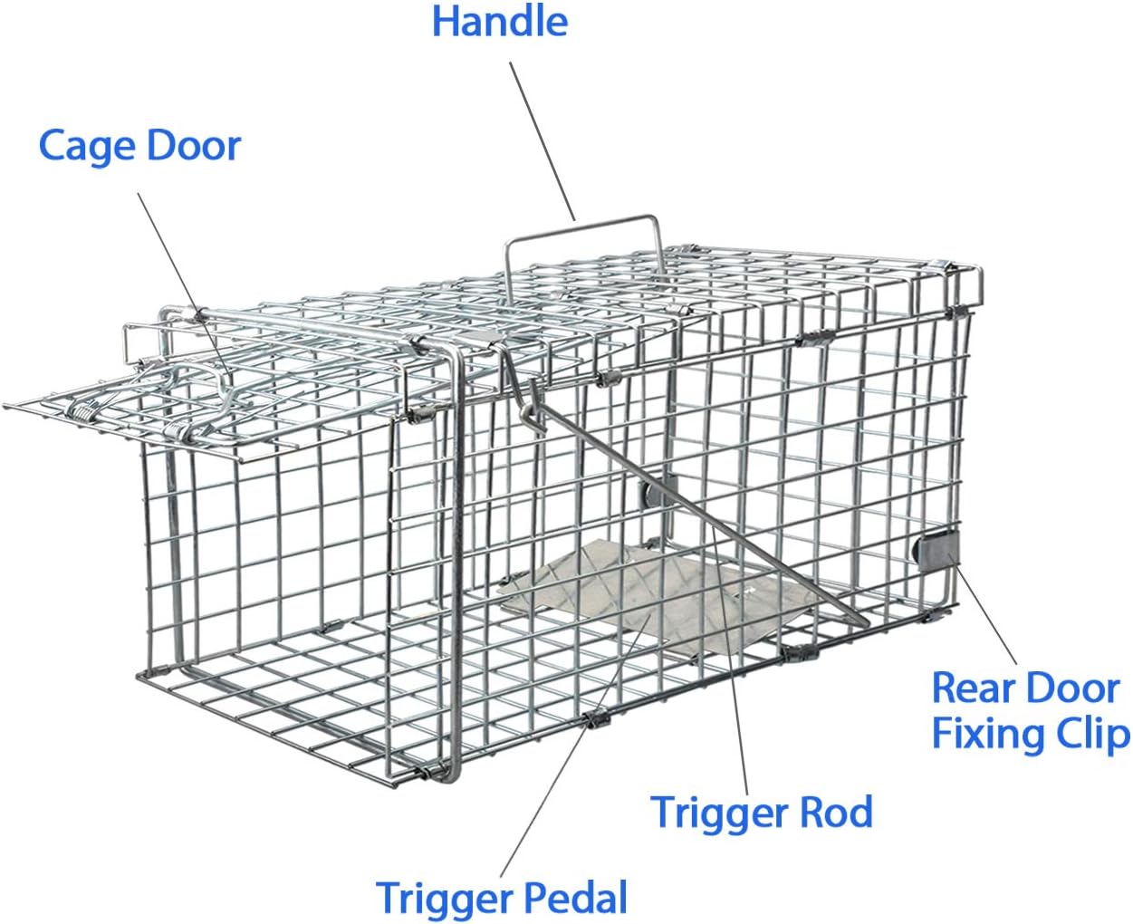 Gingbau Squirrel Trap Foldable Heavy Duty Humane Live Animal Cage Trap (Not for Mouse)