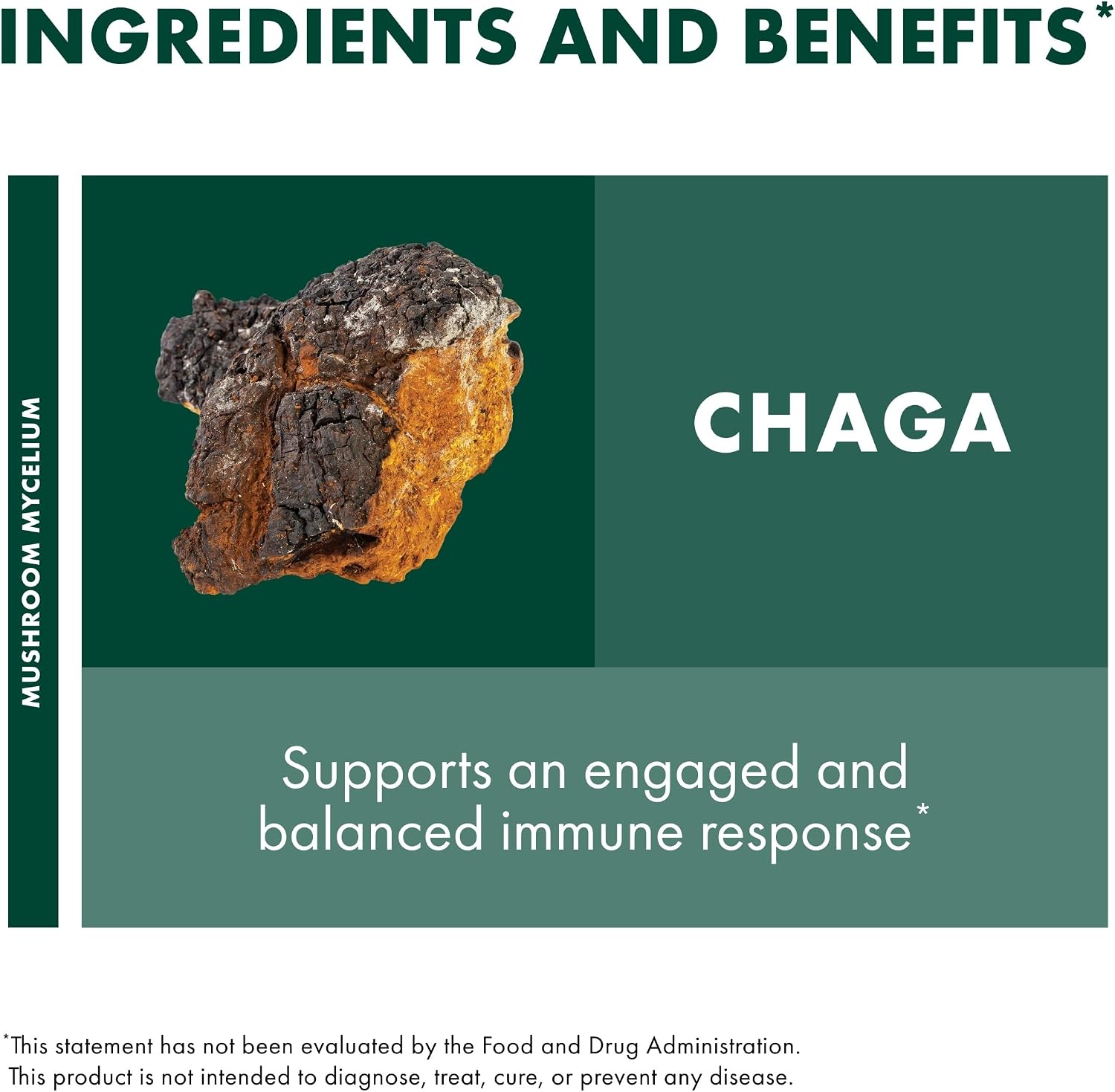 Host Defense Chaga Extract - Immune System Support Supplement - Chaga Mushroom for Antioxidant Activity Support - Liquid Dietary Mushroom Supplement - 2 fl oz (60 Servings)*
