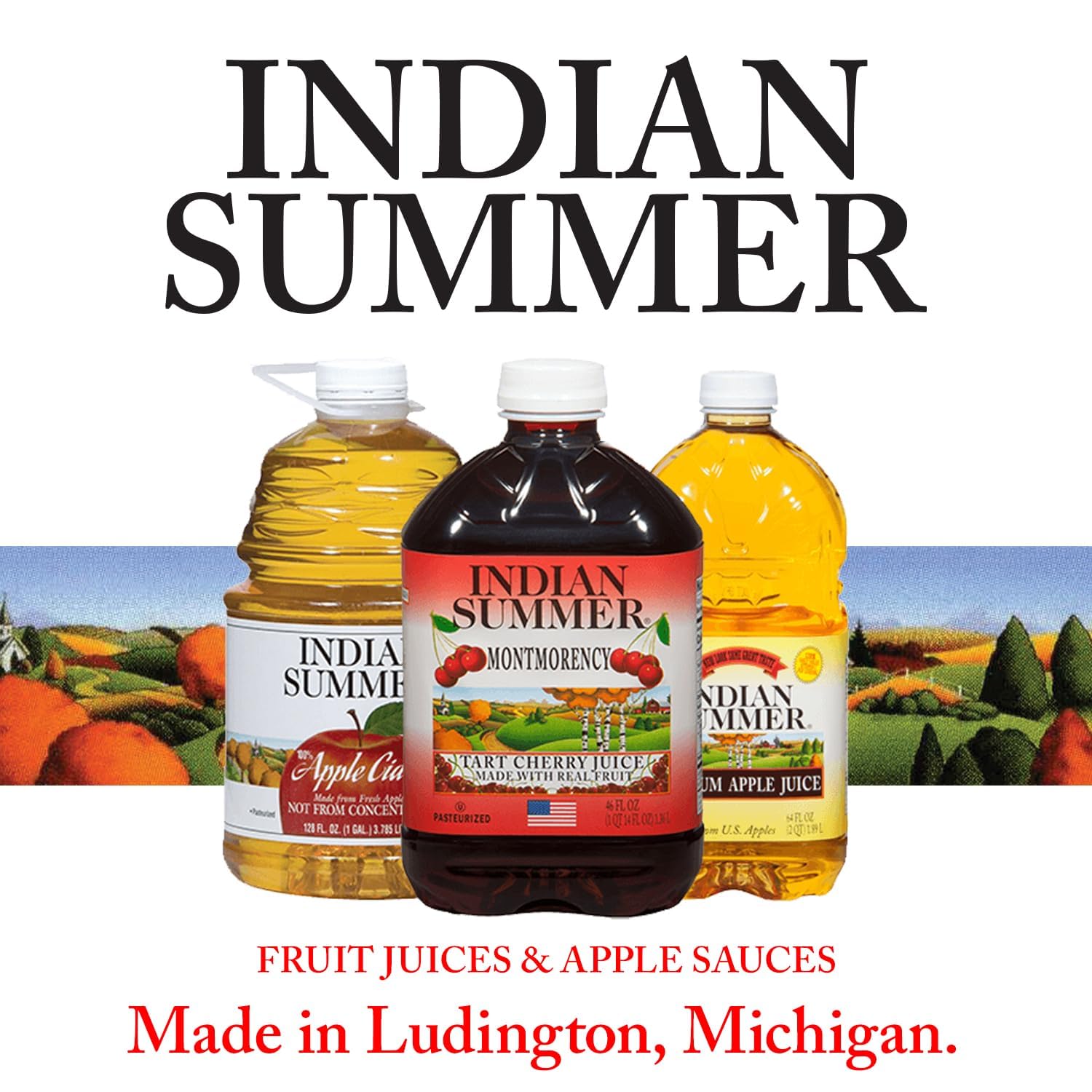 Indian Summer Chunky Peach Applesauce, 23 Ounce (Pack of 6), Made in USA