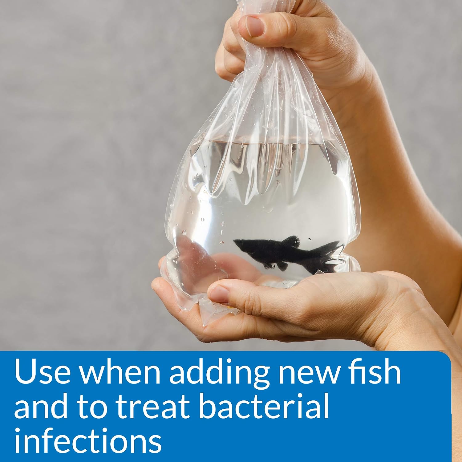 API MELAFIX Freshwater Fish Bacterial Infection Remedy 64-Ounce Bottle