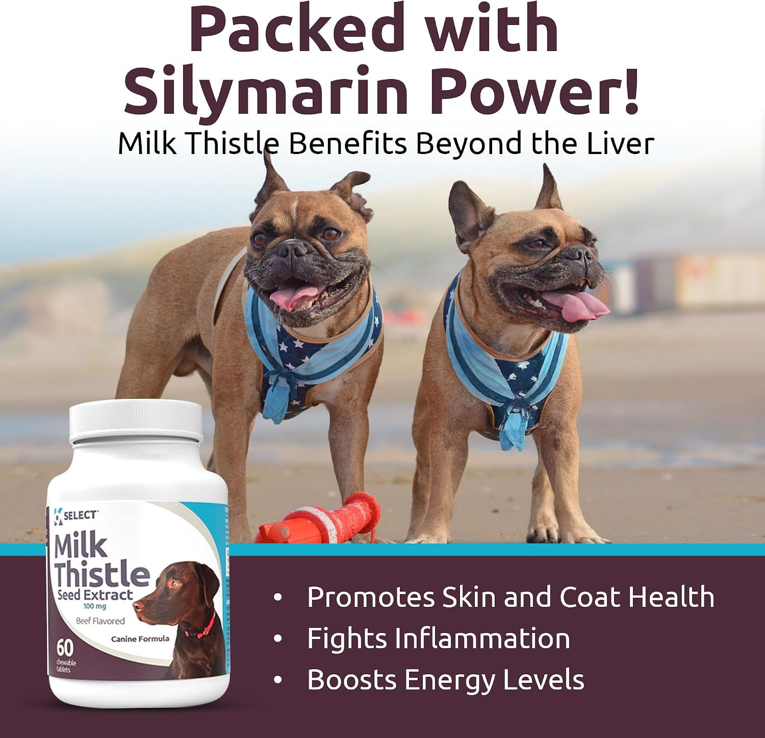 Milk Thistle for Dogs, 100mg - 60 Vegetable Capsules - Canine Liver Health Milk Thistle Supplement - Milk Herbal