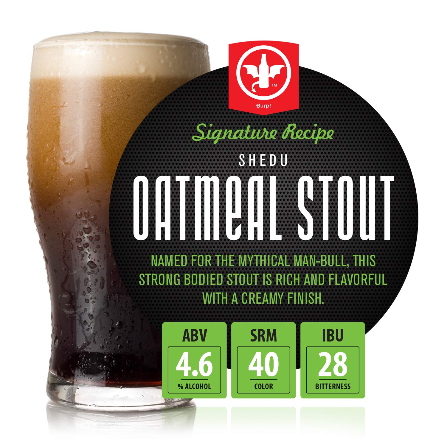 Premium Beer Kit Bonus with Bottles - Conical Fermenter Eliminates Sediment and Makes Great Tasting Home Made Beer - 1 Gal. Pilsner, Stout