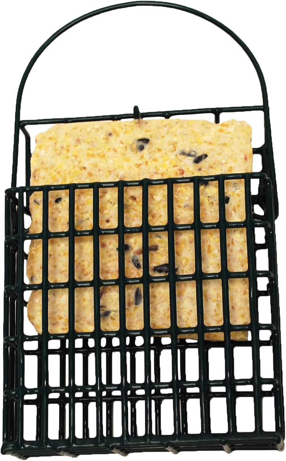 Suet Plus Zesty Orange Suet 12 Pack