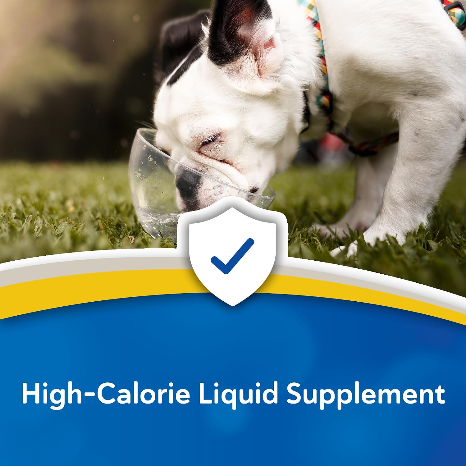 Doc Roys Forti Cal Liquid Energy Supplement for Dogs, Cats, Horses and Parrots, Natural Glucose Source with Soluble and Insoluble Fiber, Vanilla Flavor, Gallon