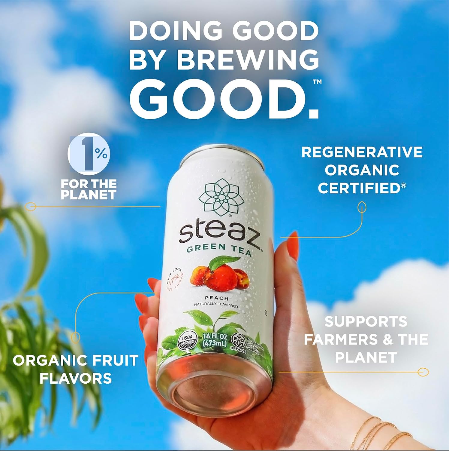 Steaz - Organic Green Tea - Peach (12 Pack) - 30mg Natural Caffeine, 70 Calories,Cane Sugar - Sweetened Iced Tea - Regenerative Organic Certified®️ - Vegan, Direct Trade - 12 Cans, 16 fl oz