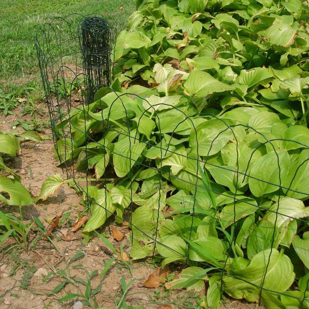 14 inch(H) x 20 feet(L) Green Garden Border Edging Folding Fence Roll Scroll Top Rolled Yard Fencing Garden Fence, Metal Wire Garden Fence for Outdoor,Yard Landscape Patio,Flower Bed Edging