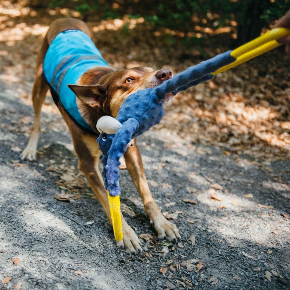 ZippyPaws RopeTugz Durable Dog Pull Rope Toy - Blue Monkey | Interactive Tug of War for Large, Medium & Small Dog, Squeaky Pet Product to Keep Them Busy, Made w/ Heavy Duty Climbing Rope