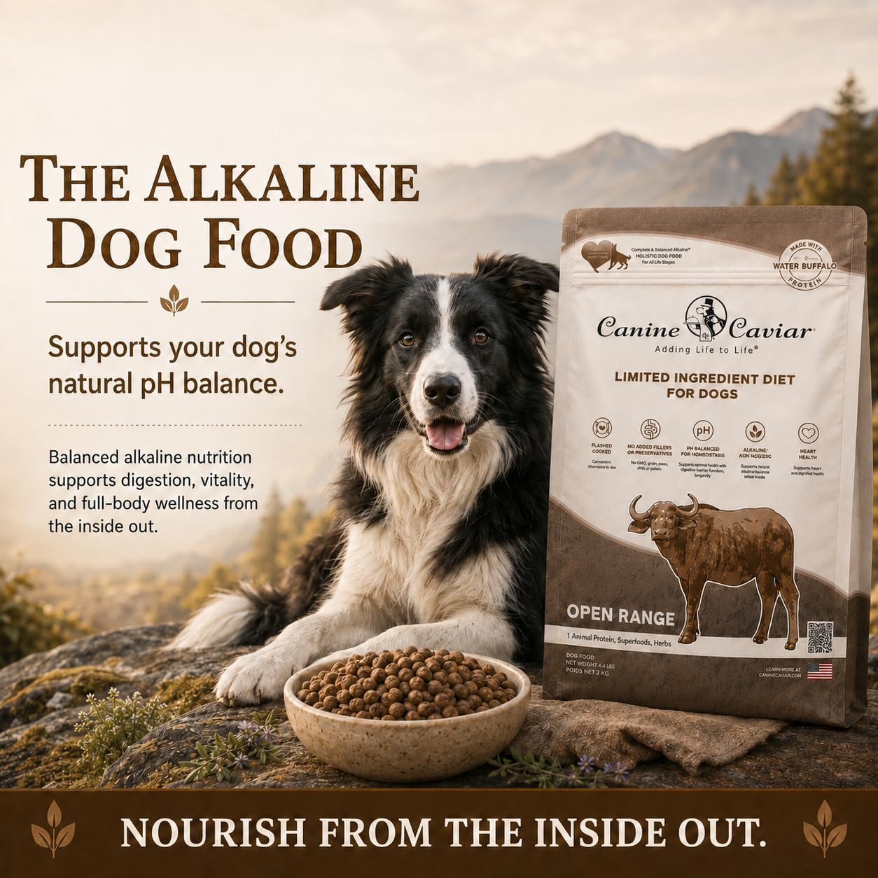 Canine Caviar - Open Range: Water Buffalo & Chickpea Alkaline Dry Dog Food, Limited Ingredients, Gluten-Free, Based on Science & Research, Veterinary Alternative Diet (22 Pound Bag)