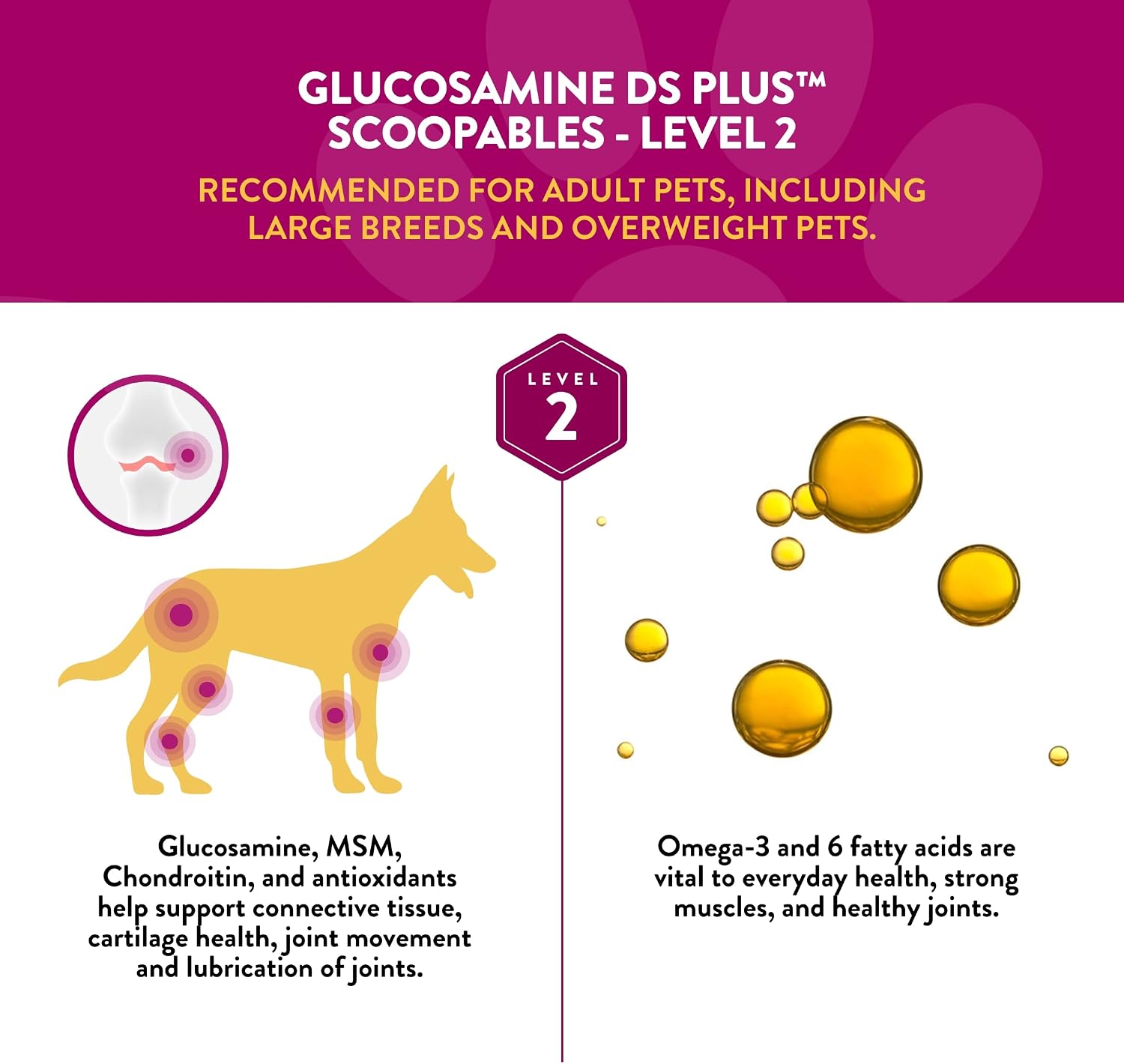 NaturVet – Glucosamine DS Plus - Level 2 Moderate Care – Supports Healthy Hip & Joint Function – Enhanced with Glucosamine, MSM & Chondroitin – for Dogs & Cats–70 Soft Chews