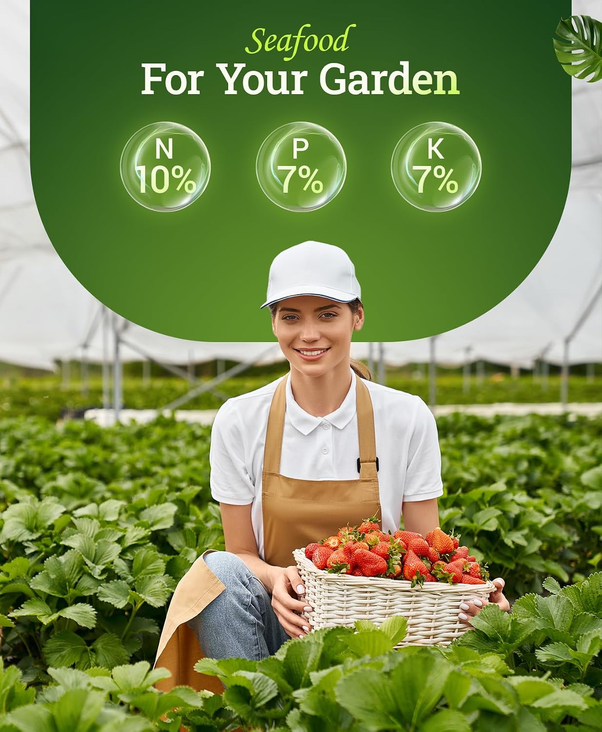 FoxFarm Marine Cuisine All Purpose Fertilizer - 10-7-7 Ocean-Based Plant Food with Crab Meal, Seabird Guano - Slow Release Fertilizer for Vegetables