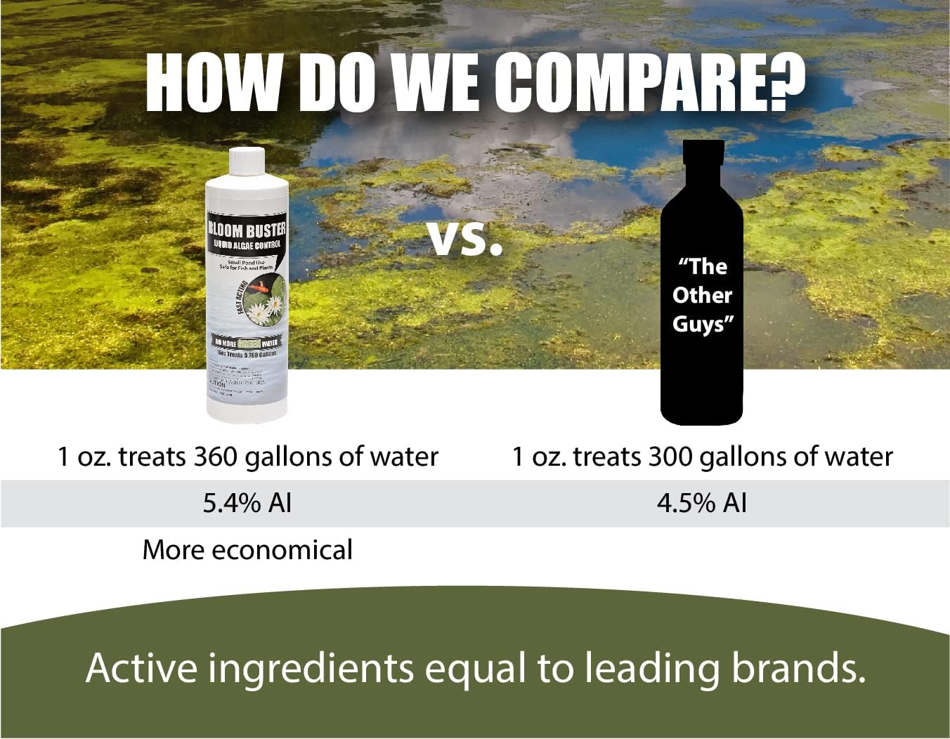 Bloom Buster Pond Algae Control - 16oz - Fast Acting Algaecide, Use in Fountains & Outdoor Ponds Containing Koi & Other Fish - EPA Registered