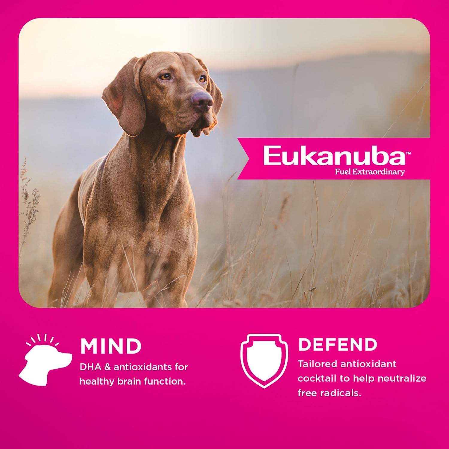 Eukanuba Adult Premium Performance 30/20 Sport Dry Dog Food, 28 lb Bag
