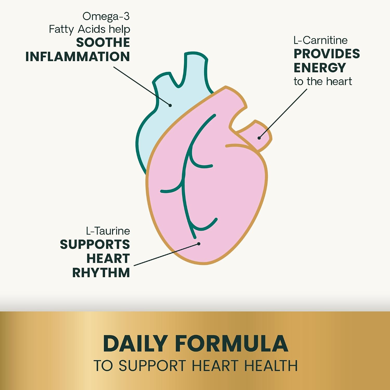 VetriScience Extra Strength Healthy Heart Chews, Vetri Cardio Supplement for Dogs, Cardio Support Supplement with Taurine, Carnitine, CoQ10