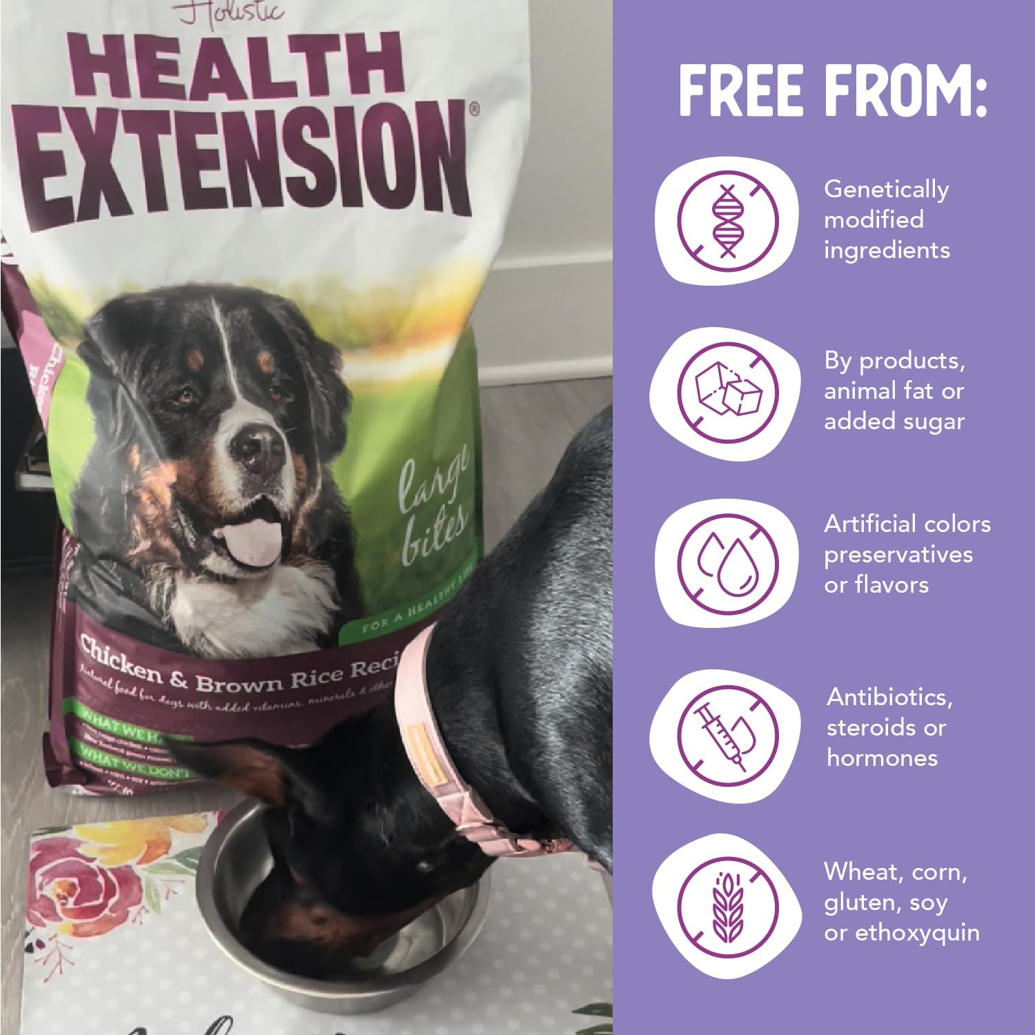 Health Extension Lamb & Brown Rice Dry Dog Food, Protein Packed Formula with Probiotics & Superfoods for Digestion & Coat Health (30 lb)