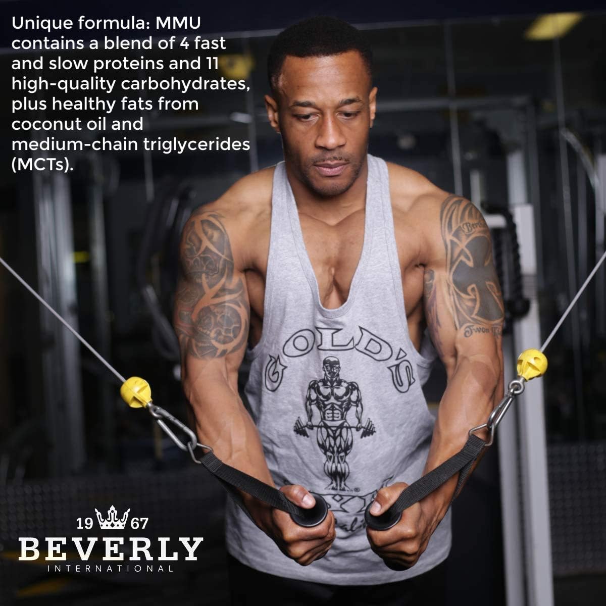 Beverly International Mass Maker Ultra, Vanilla, 14 Servings, 3 lb | Build Lean Mass, Milk Protein Isolate, Whey Protein Isolate + Egg, MCT Oil, Clean Carbs, Great Taste