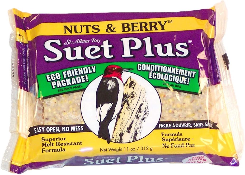 Suet Plus Zesty Orange Suet 12 Pack
