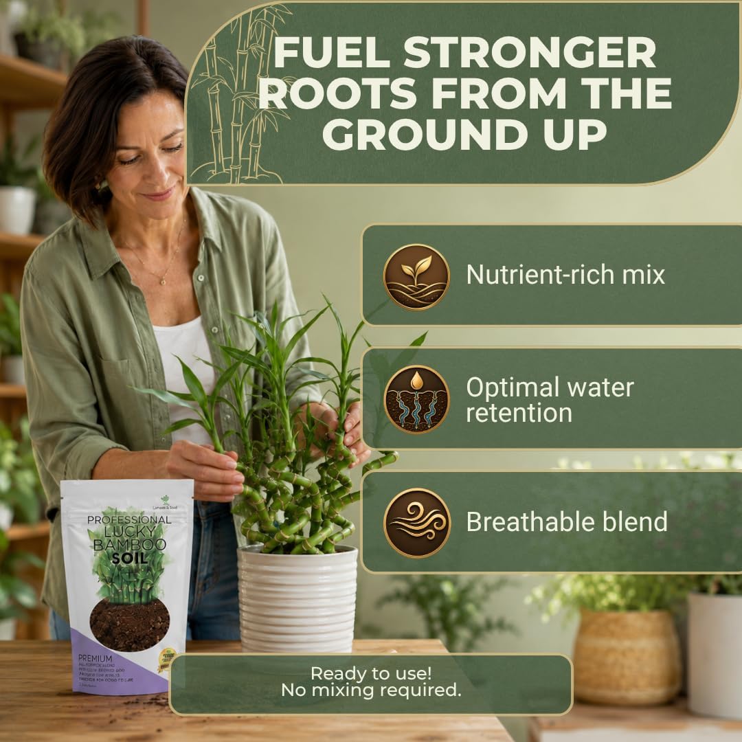 Professional Bonsai Soil Mix Ready to Use | Large 2.2 Quarts, Premium Potting Soil for Bonsai Trees