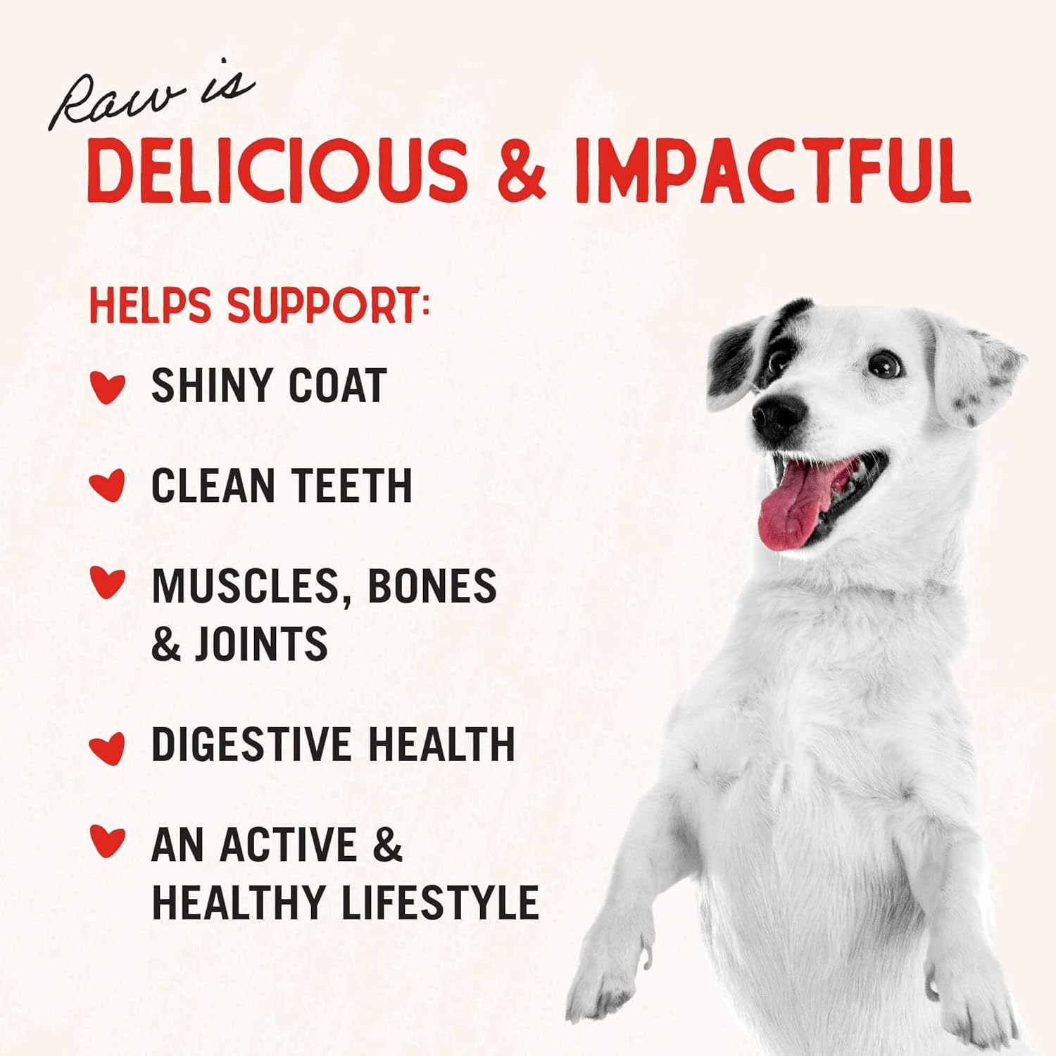 Stella & Chewy's Freeze-Dried Raw Lamb Heart Dog Treats - Single Ingredient, No Additives - Premium Training Treats - Perfect For Picky Eaters - 3oz Bag