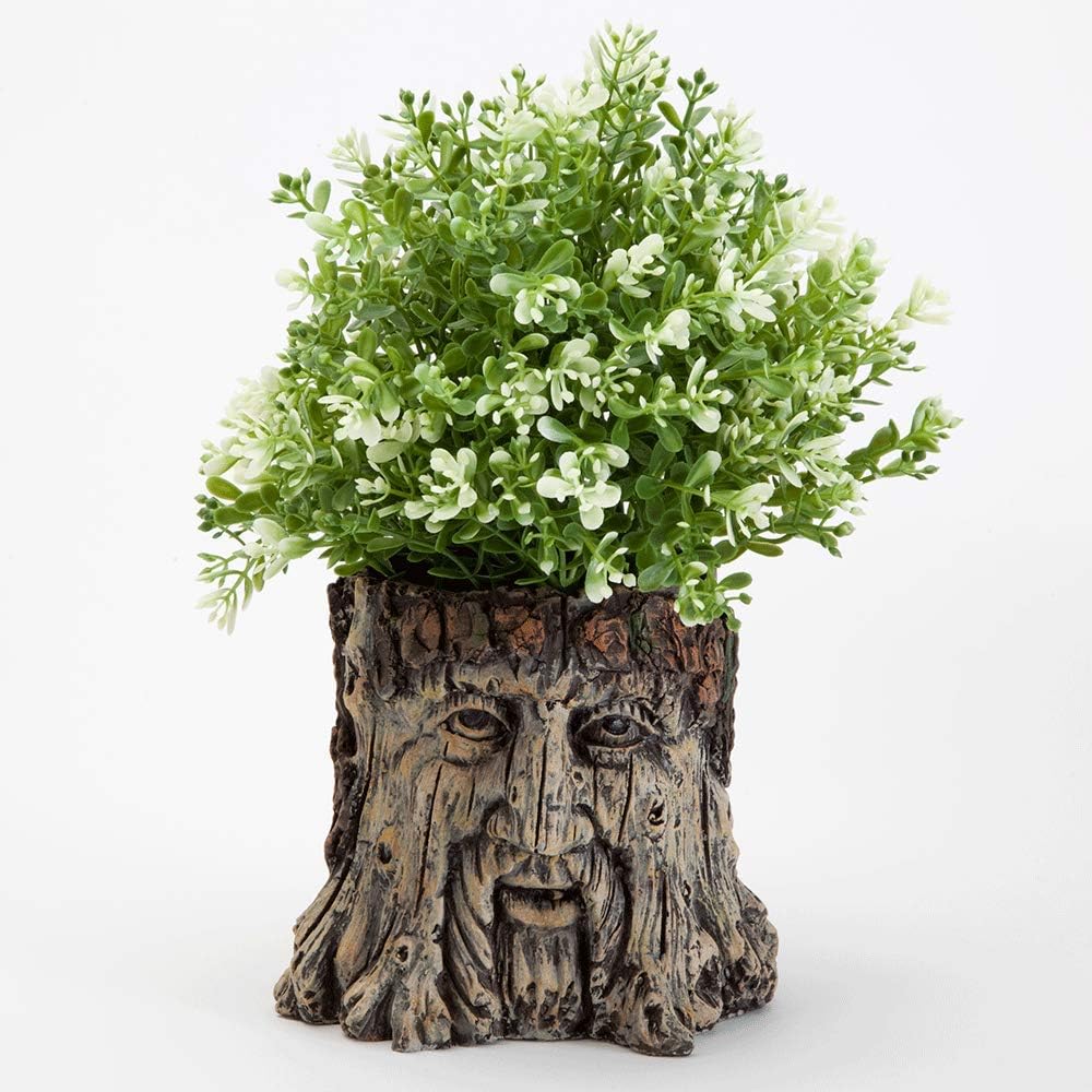 Bits and Pieces - Tree Face Garden Planter Flower Pot - 5 1/2 Inch