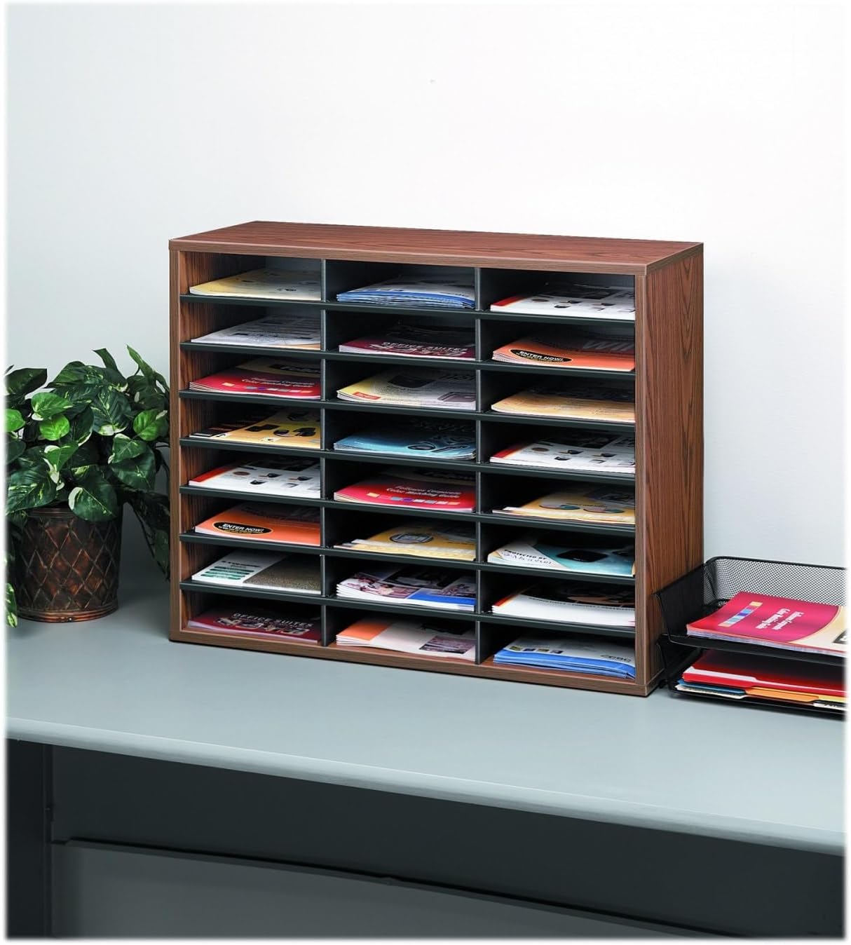 Fellowes 24-Compartment Literature Organizer, Letter Size, Medium Oak (25043)