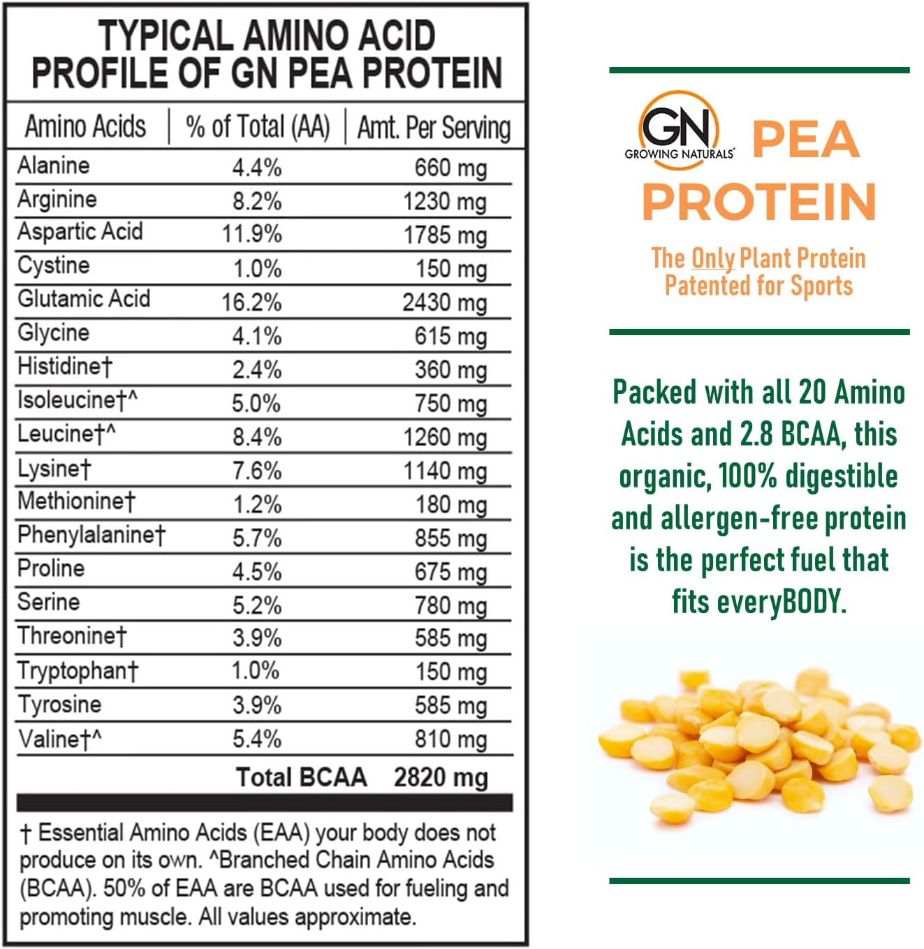 Raw Pea Protein Powder, Vegan Plant Based Protein, BCAA, Low-Carb, Low-Sugar, Chocolate Power, 1 Pound (Pack of 1)