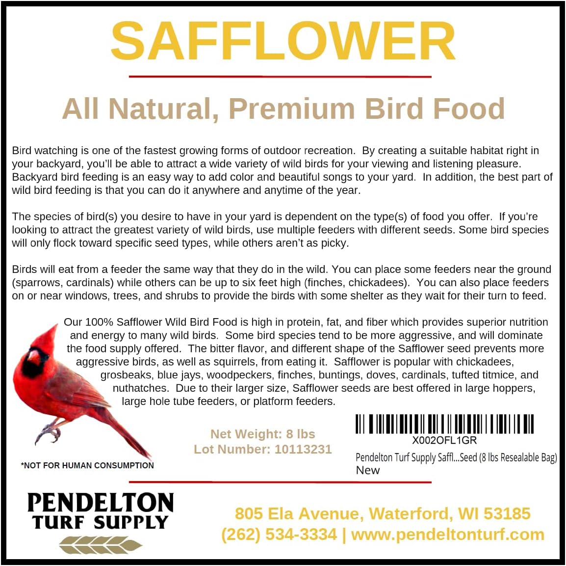 Safflower Wild Bird Seed | All-Natural, Premium Bird Seed (8 lbs Resealable Bag)