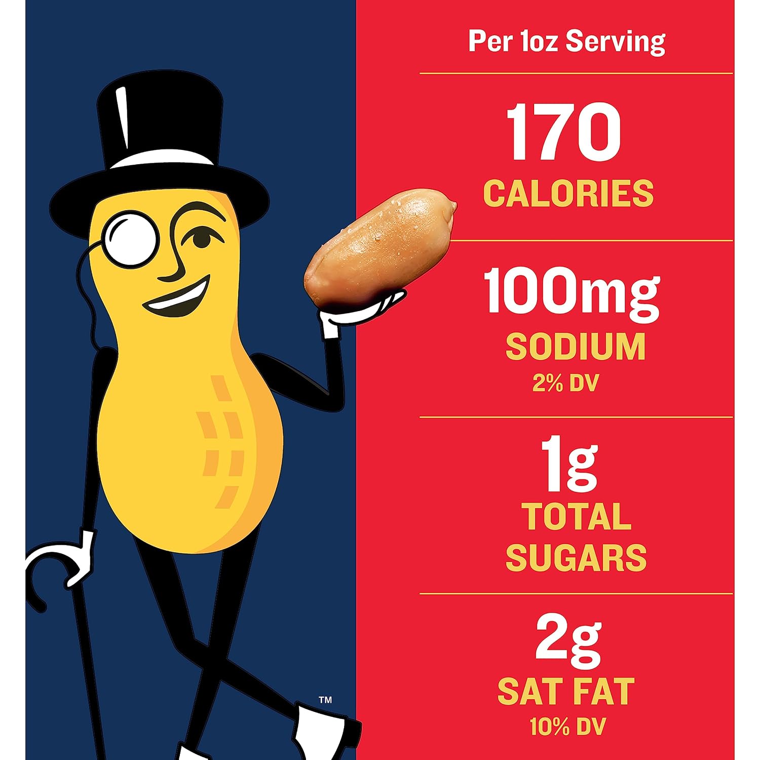 PLANTERS Salted Peanuts, Party Snacks, 16 Oz (1 Ct) | Dry Roasted Salted Peanuts. 0g Trans Fat. Resealable Jar. Snacks for Adults. Party Mix, Flavored Nuts