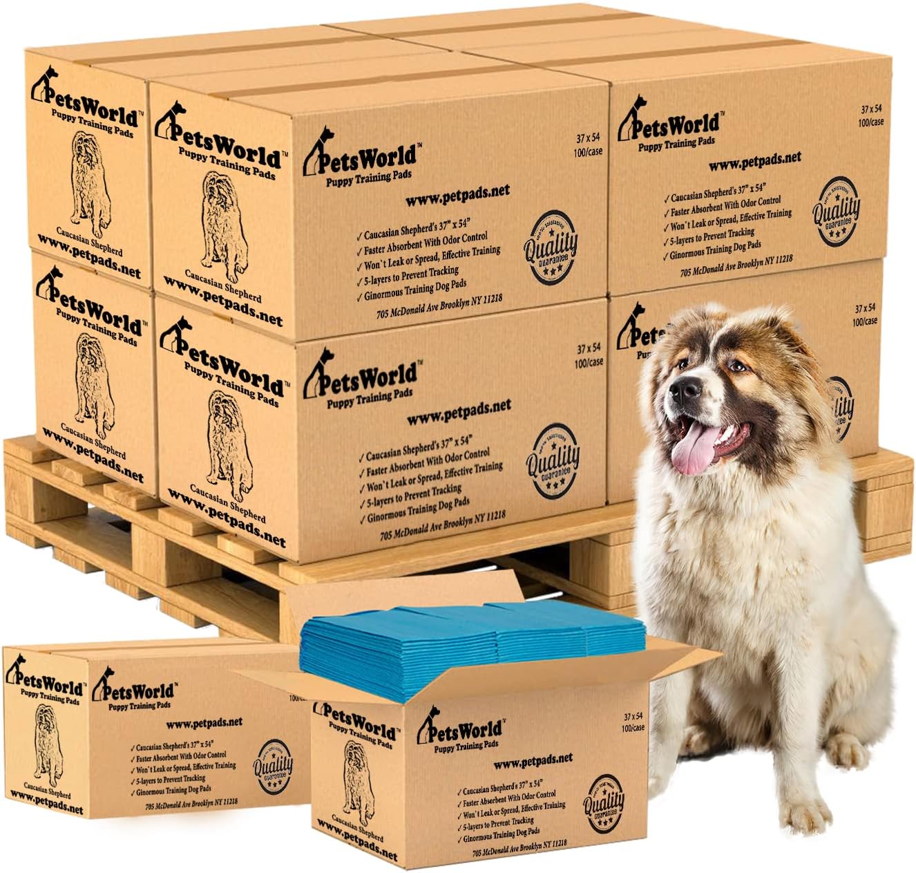 PetsWorld Enormous Dog Pee Pads 37"x54" 50 Count – XXXL Pet Pee Pads for Giant Dogs & Pets, Heavy Duty Leak-Proof Dog Training Pads, Super Absorbent Quick-Dry Potty Pads with Adhesive Tabs
