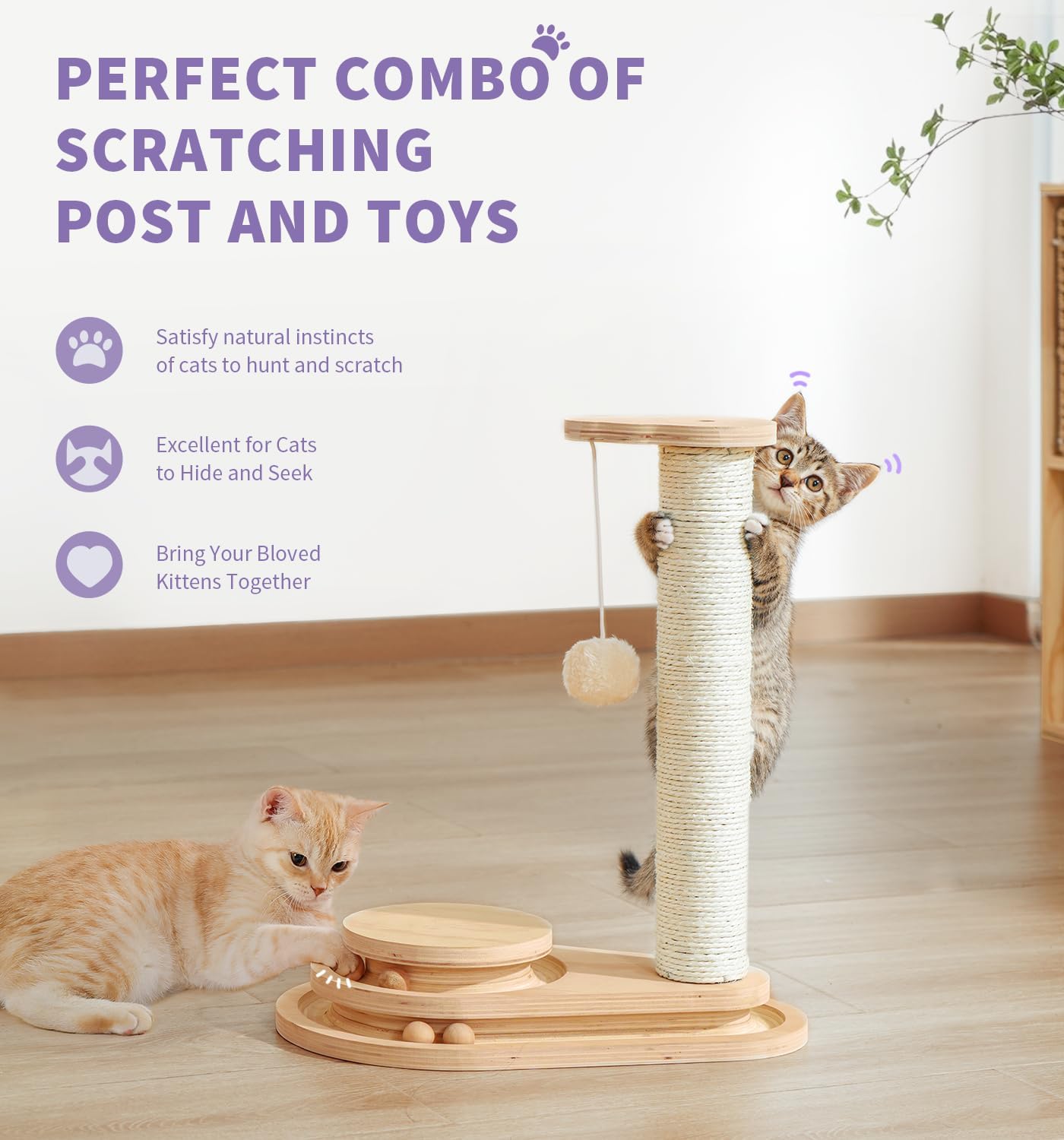 Made4Pets Kitten Toy Scratching Post for Indoor Cats with Ball Track