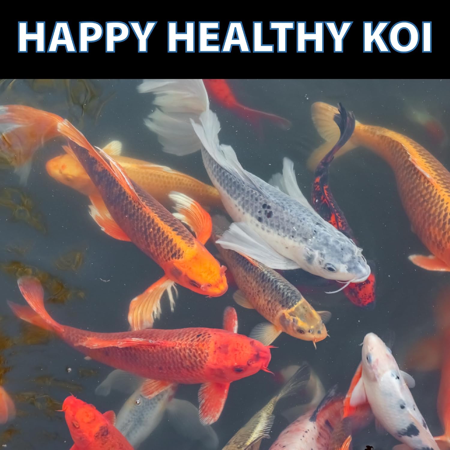 CrystalClear Knockout Plus All Natural Fish Treatment - 1 Gallon