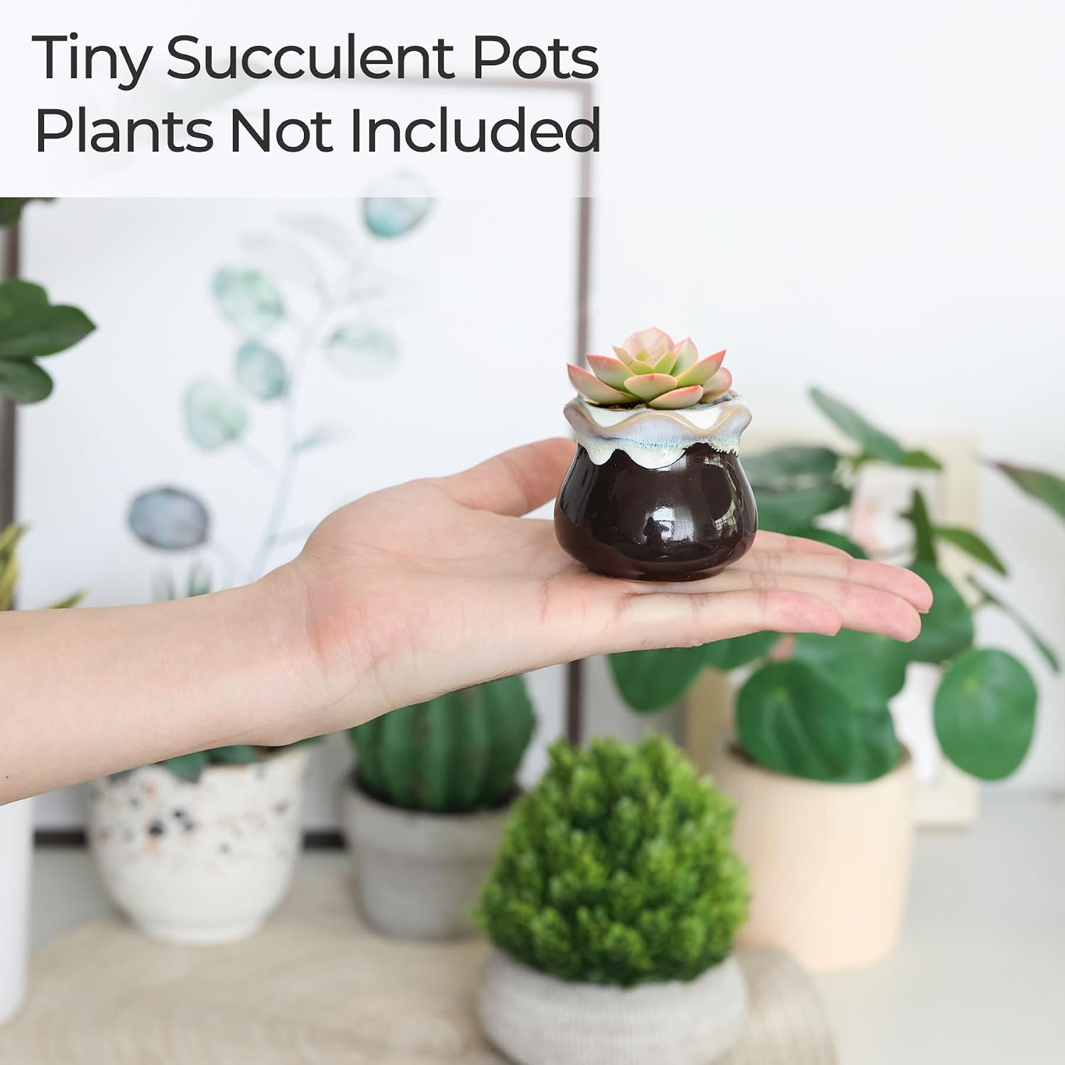 T4U Mini Succulent Ceramic Pots for Gifts, Small Planters for Decor 6 Pack | Planters with Drainage, for live cactus plants, bonsai tree starter pots, indoor windowsill decor, office desk accents