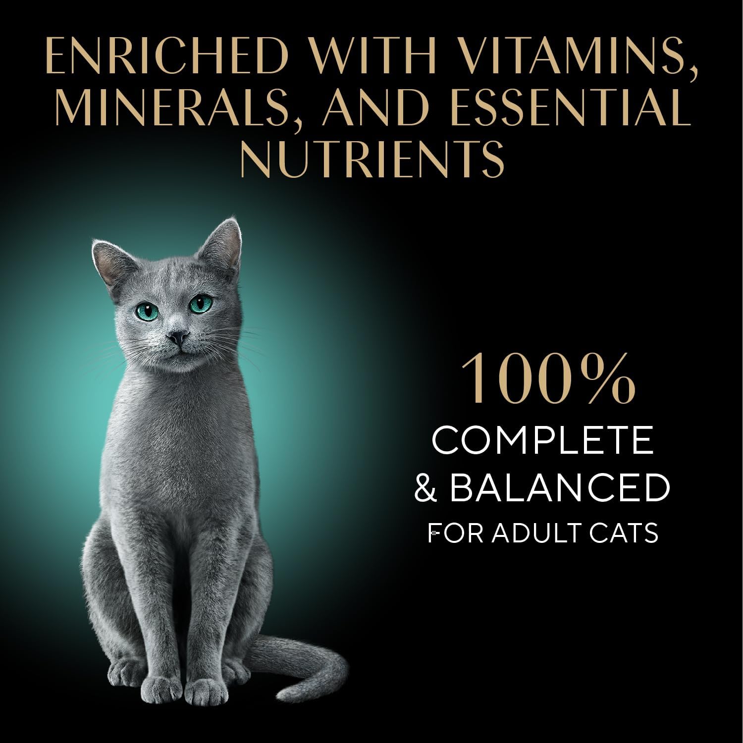 Sheba Perfect Portions Pate Wet Cat Food, Seafood Pack, 2.6 oz, 12 ct, 2pk | Grain-free, made in USA, Salmon & Whitefish-Tuna, 48 servings total, sustainable seafood, twin-pack trays