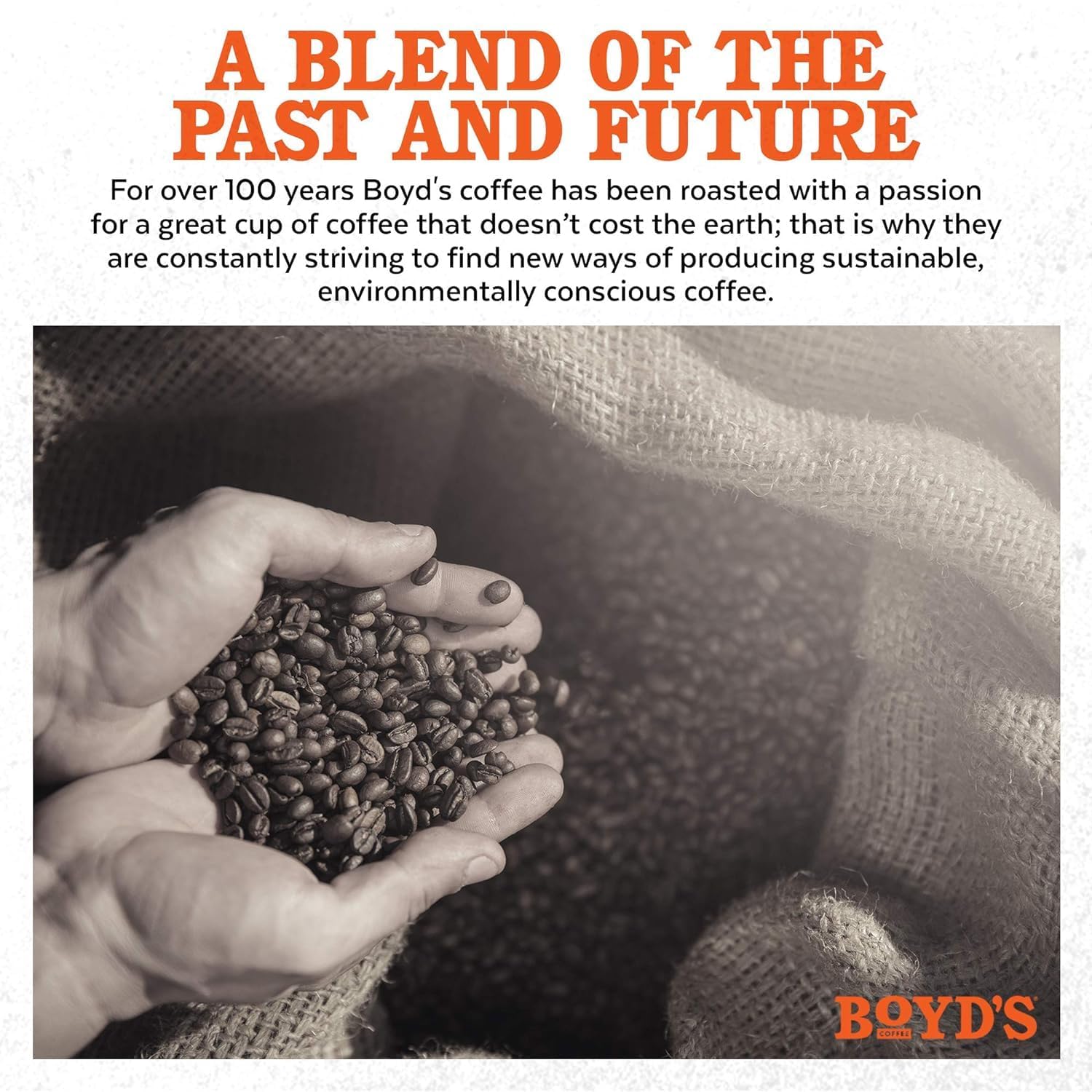 Boyd's French No. 6 Coffee - Ground Dark Roast - 12 Ounce (Pack of 6)