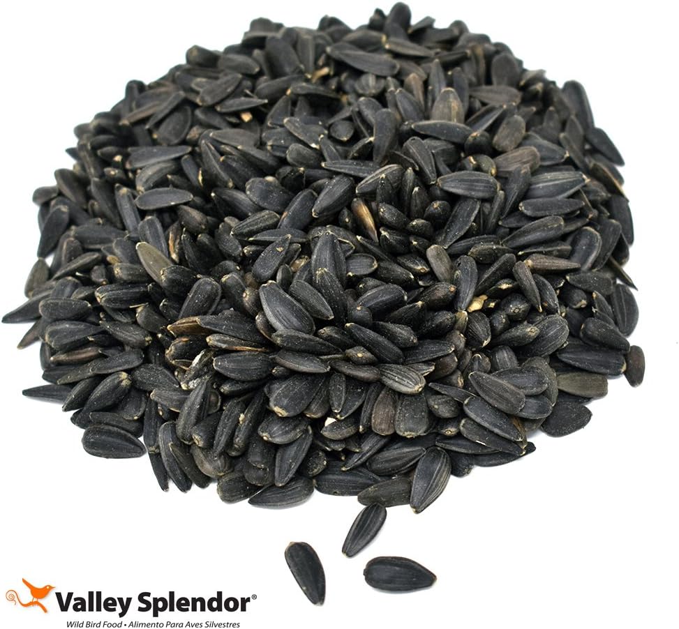 Black Oil Sunflower Seeds, 2 lbs