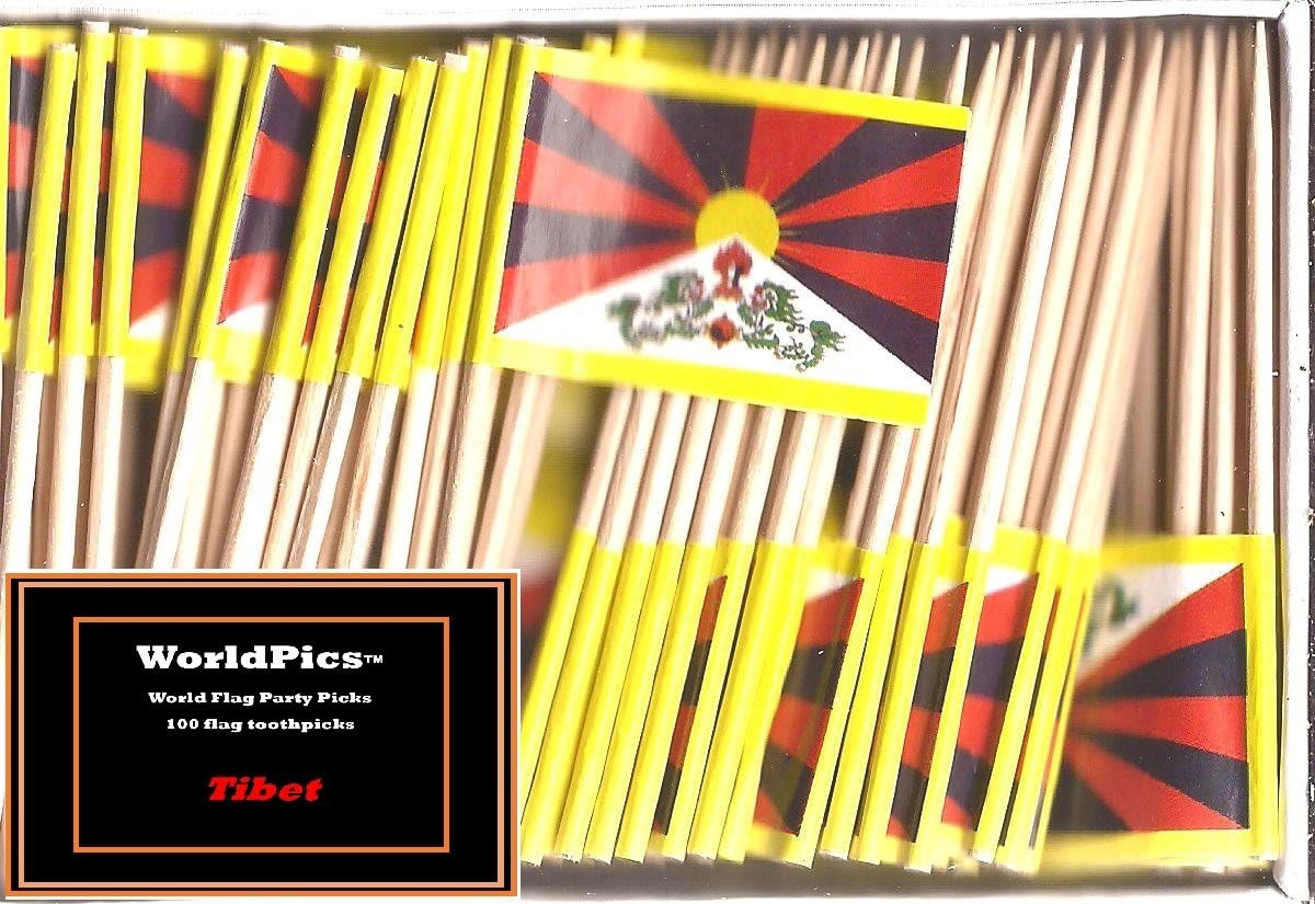 One Box of 100 Nicaragua Toothpick Flags, 100 Small Mini International Flag Cupcake Toothpicks or Cocktail Picks