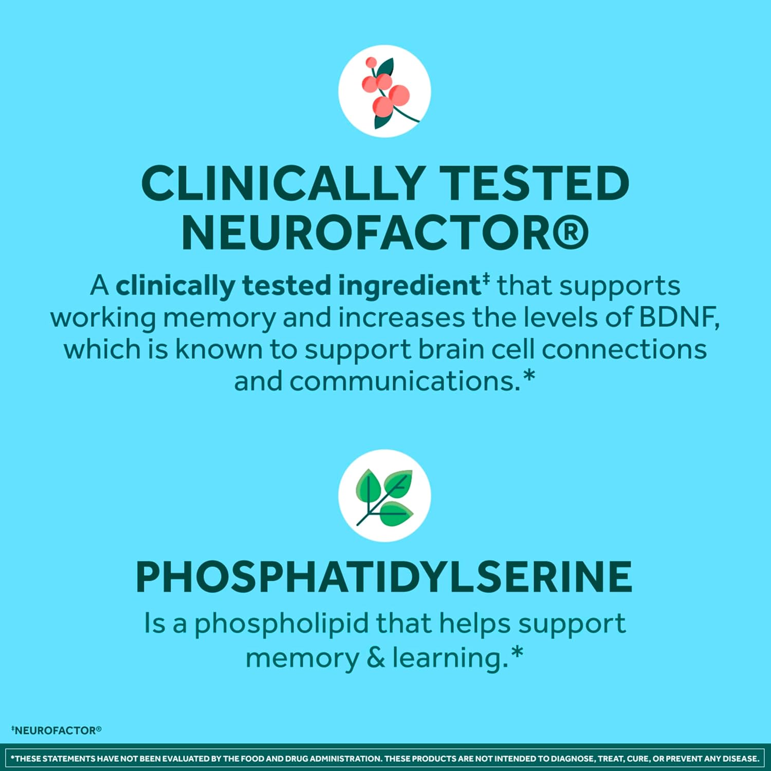 NEURIVA Plus Brain Supplements for Memory and Focus, Clinically Tested Nootropics Neurofactor and Phosphatidylserine, with Vitamin B12