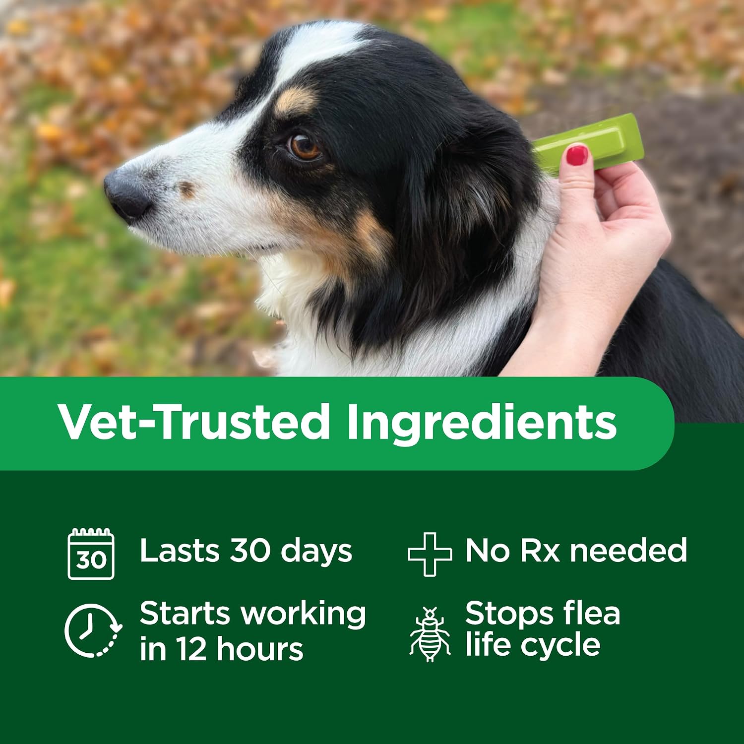 TevraPet Activate II Flea and Tick Prevention for Dogs, Large Dogs 21-55 lbs, Topical Drops, 4 Month Flea and Tick Treatment