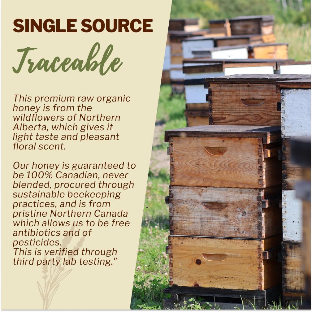 Oneroot 100% Organic Canadian Wildflower Honey - 17.6 Oz/1.1 Lbs, Unheated & Creamed - Nutrient-Rich