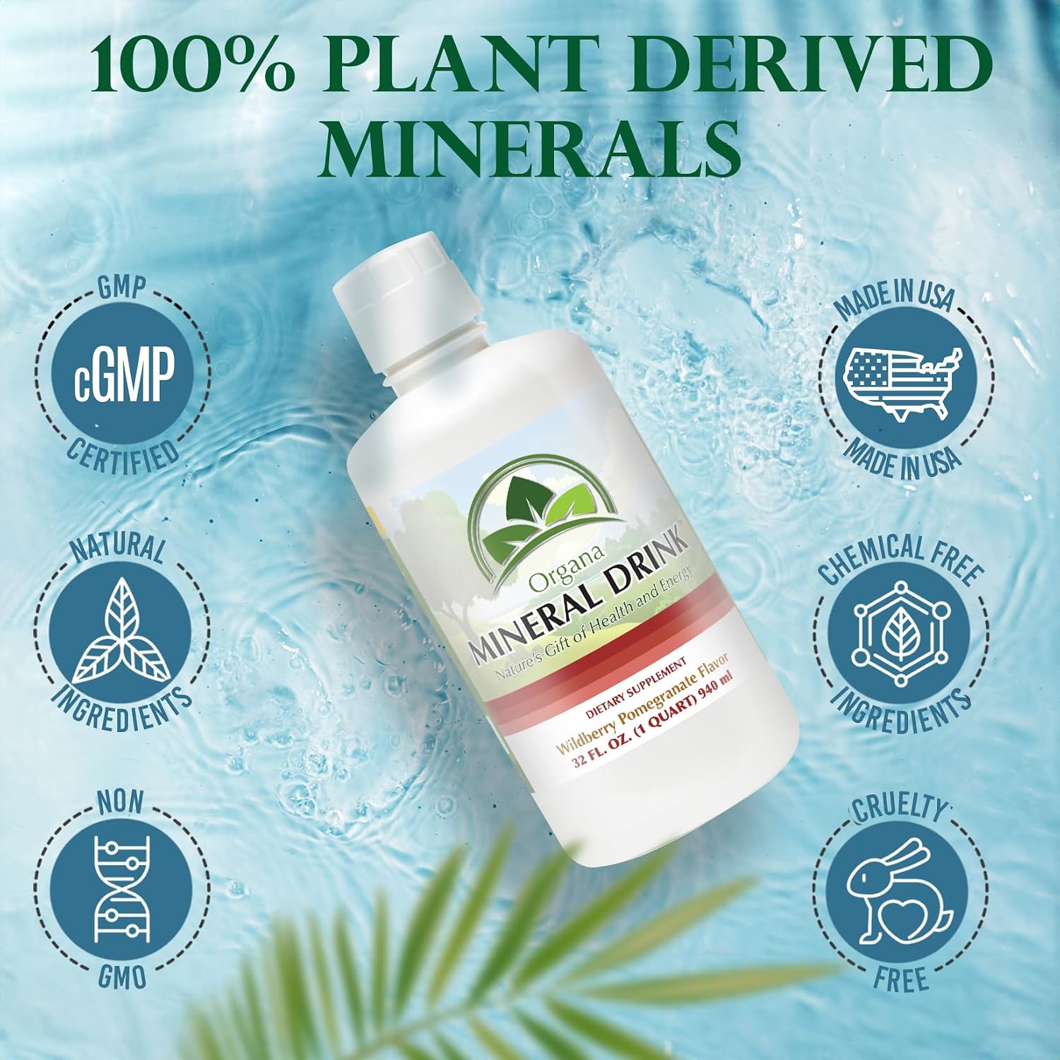 Organa Trace Minerals - Liquid Colloidal Minerals Supplements - Plant Derived for Maximum Absorption - Colloidal Minerals Liquid for Wellness - 32 Ounces