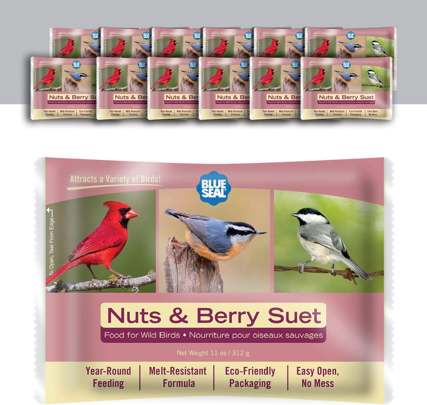 Blue Seal Nuts & Berry Suet Cakes for Wild Birds - No Mess Suet Feed, Food for Woodpeckers, Cardinals, Siskins, Sparrows & More - 11oz Suet Feeder