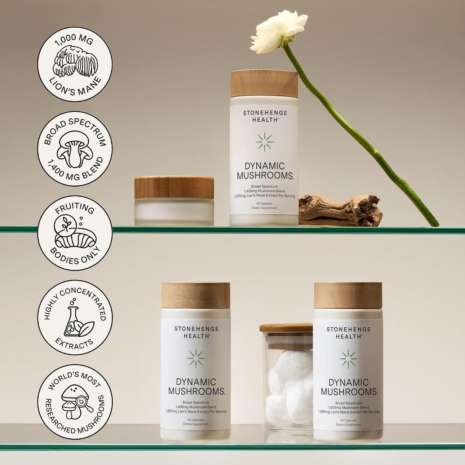 Stonehenge Health Dynamic Mushrooms® | Lions Mane+ Brain, Memory, Focus