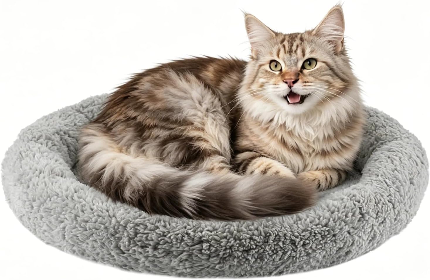 LESYPET Cat Bed for Indoor Cats, Soft Cat Cushion with Cat Pillow Around, Rectangle Kitten Pad Small Bed for Window Sill, 15'' x 10''