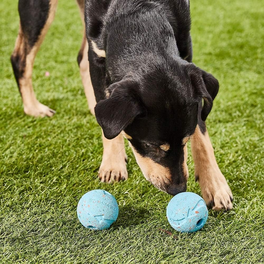 Chuckit! Fetch Pack Dog Balls - Interactive Dog Toys, High-Bounce Fetch Ball, Floating Ultra and Rugged Balls, Durable - Size Small, 2-inch Diameter, Set of 3