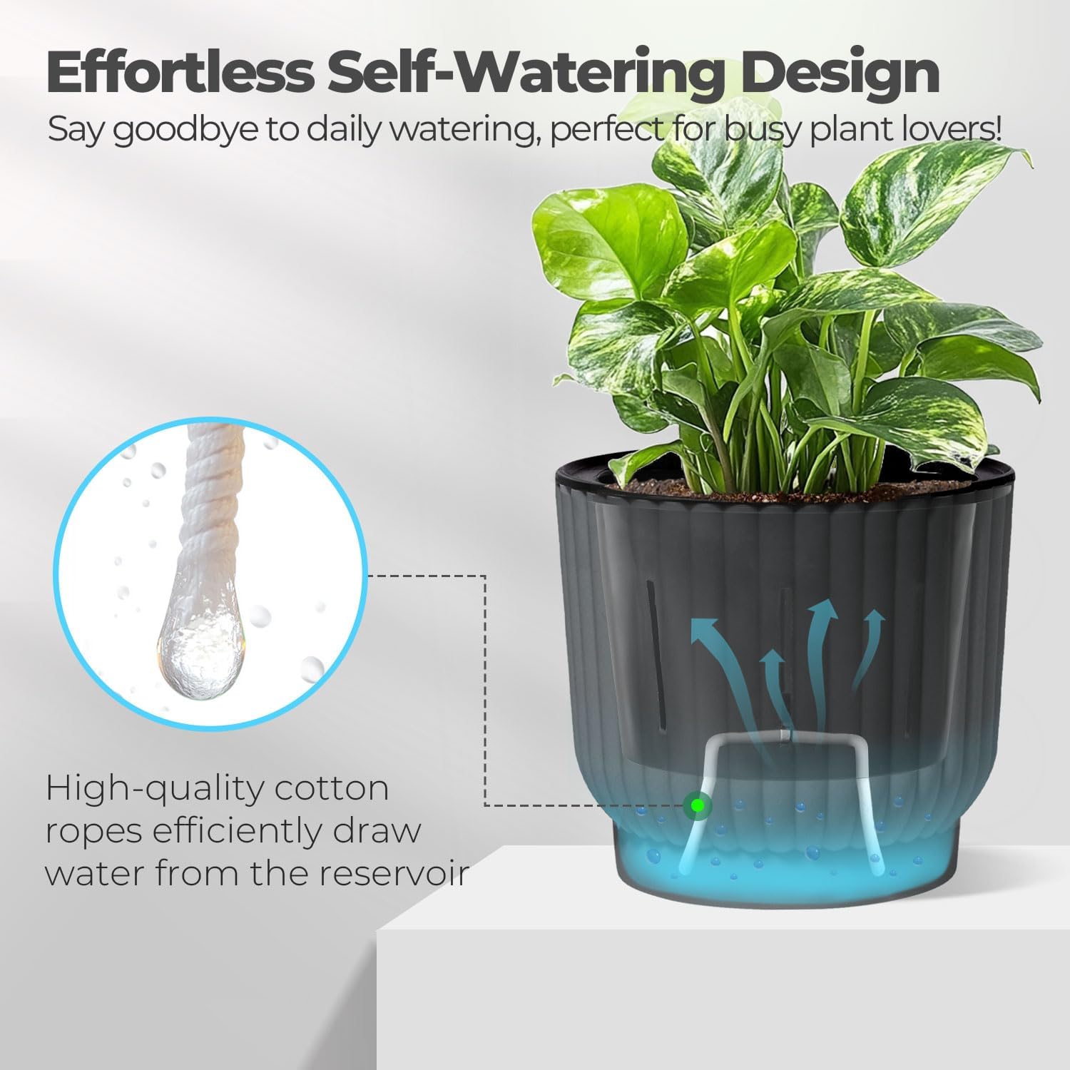 T4U Self Watering Pots for Indoor Plants, 4 Inch 6 Pack Planter White